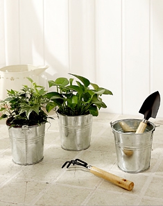 3只装原色园艺小吊桶